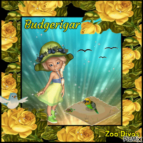 Budgerigar - Бесплатный анимированный гифка