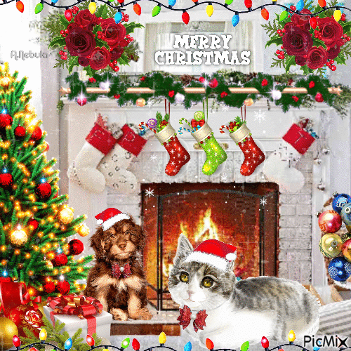 Merry Christmas : Interior-contest - GIF animado gratis