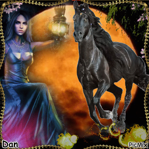 the lady and the black horse - Бесплатный анимированный гифка