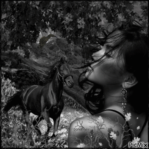 la femme et le cheval - Bezmaksas animēts GIF