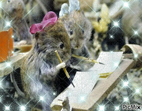 mäuse - GIF animado grátis