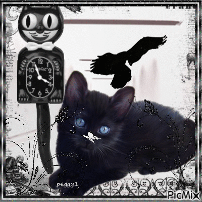 black cat - Gratis animeret GIF