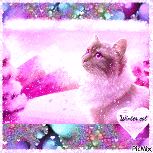 Winter cat in pink - GIF animé gratuit