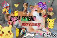 Man’s best Pikachu :) animerad GIF