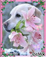 White dog with flowers. анимированный гифка