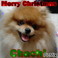 Chachi - GIF animado grátis