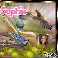 sophie - GIF animasi gratis