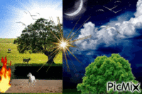 día  y noche - GIF animado grátis