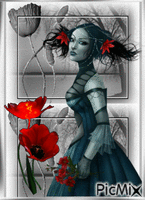 Red poppies animerad GIF