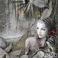 Spider Webs in the Forest - 無料png