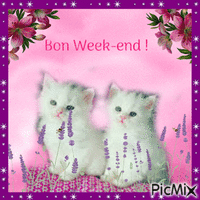 Bon Week-end  ! анимиран GIF