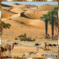 Le sahara  - Algerie - Bezmaksas animēts GIF