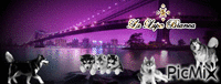 Una notte da Lupi - Darmowy animowany GIF