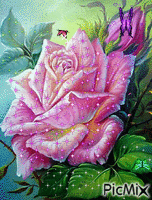 Precious Rose - Δωρεάν κινούμενο GIF