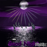 night - Zdarma animovaný GIF