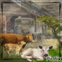 Les vaches par BBM - Безплатен анимиран GIF