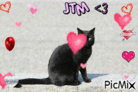 je t'aime mon chat... - Zdarma animovaný GIF