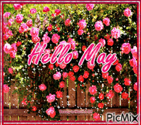 Hello May - 免费动画 GIF