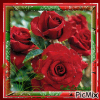 Rosas Vermelhas - Darmowy animowany GIF