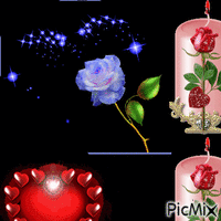 rosas GIF animado