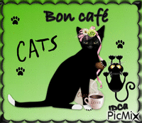 Bon café  les chatons animovaný GIF