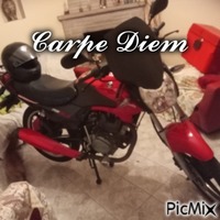 carrpee  diem - GIF animé gratuit