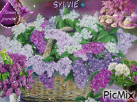 lilas ma création a partager sylvie - Δωρεάν κινούμενο GIF