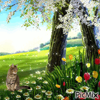Cat in the flowers - Nemokamas animacinis gif