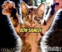 bon samedi - GIF เคลื่อนไหวฟรี