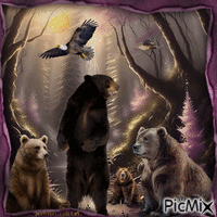 Bears - Nemokamas animacinis gif