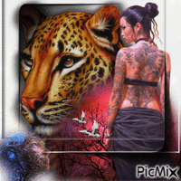 mulher tigre - Безплатен анимиран GIF