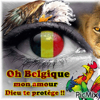 J'adore ma Belgique анимирани ГИФ