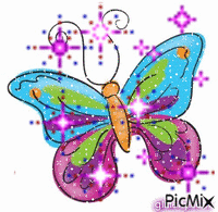 farfalla - Darmowy animowany GIF