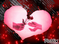 amor - 免费动画 GIF