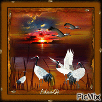 Sunset and cranes - Δωρεάν κινούμενο GIF