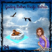 Guiding Mother Pacific walrus - Free animated GIF
