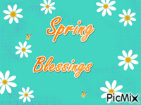 Spring Blessings - GIF animado grátis