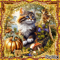 autumn cat GIF animé