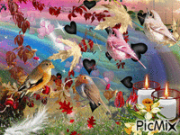 Les oiseaux Animated GIF