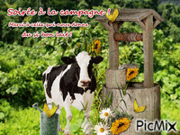 La vache GIF animado