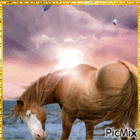 Les chevaux анимиран GIF