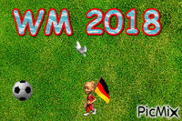 WM 2018 GIF animé
