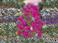 A PINK TREE WITH SPARKLES, AND PURPLE, AND YELLOW AND GREEN TREES, WITH FLASHES EVERY WHERE. LOTS OF BUTTERFFIES. Animated GIF