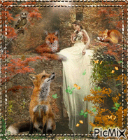 Princesse des renards