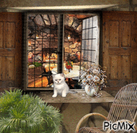 Le chaton Animated GIF