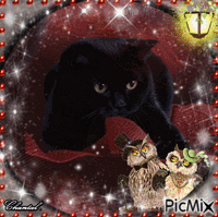 chouette et chat noir - Gratis geanimeerde GIF