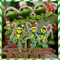 Christmas frog - Gratis geanimeerde GIF
