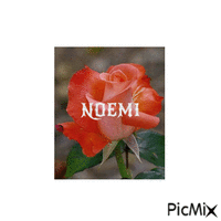 Noemi - Free animated GIF