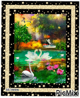 Water dam with swans. анимированный гифка