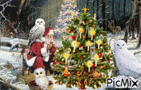 christmas owl GIF animé